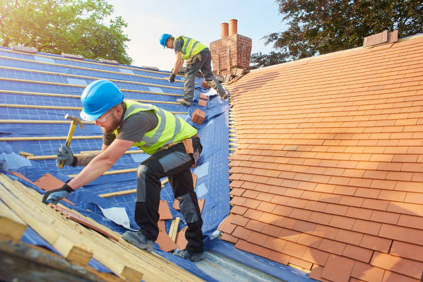 Best Skylight Installation and Repair  in Westville, NJ